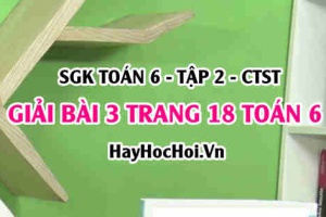 Giải bài 3 trang 18 Toán 6 Tập 2 SGK Chân trời sáng tạo